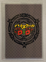 Akeno Himejima & Rias Gremory - High School DxD - Anime Doujin Card