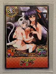 Koneko Toujou & Akeno Himejima - High School DxD - Anime Doujin Card