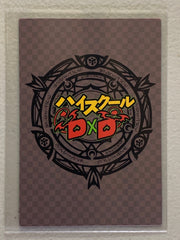 Irina Shidou & Rossweisse - High School DxD - Anime Doujin Card
