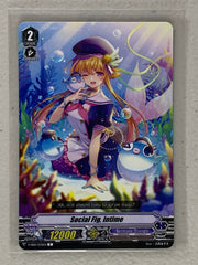 Social Fig, Intime V-EB05/030EN C - Cardfight Vanguard Primary Melody