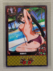 Akeno Himejima - High School DxD - Anime Doujin Card