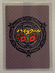Rias Gremory & Xenovia - High School DxD - Anime Doujin Card