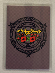 Irina Shidou & Rossweisse - High School DxD - Anime Doujin Card